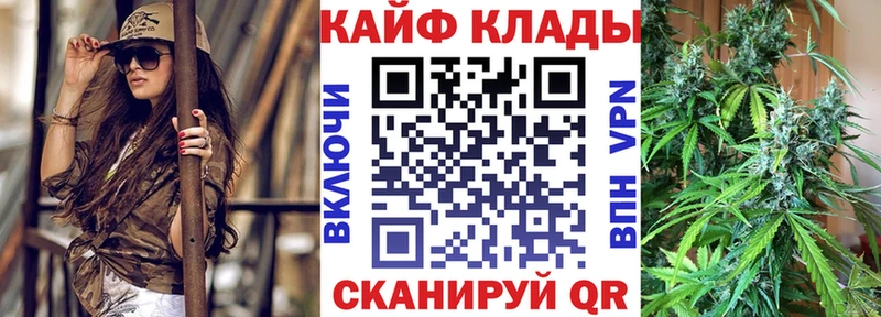Сколько стоит Шахунья МДМА  Меф мяу мяу  КОКАИН  АМФЕТАМИН 
