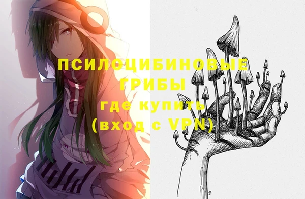 мдпв Белокуриха