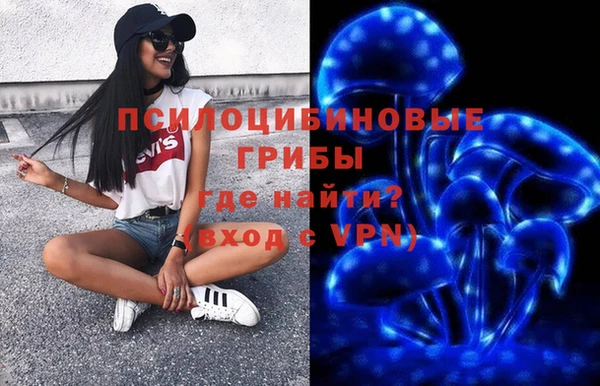 мдпв Белокуриха