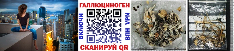 Псилоцибиновые грибы прущие грибы  блэк спрут зеркало  Шахунья 