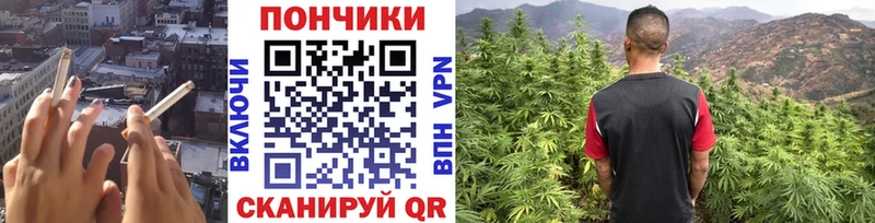 МАРИХУАНА гибрид Шахунья